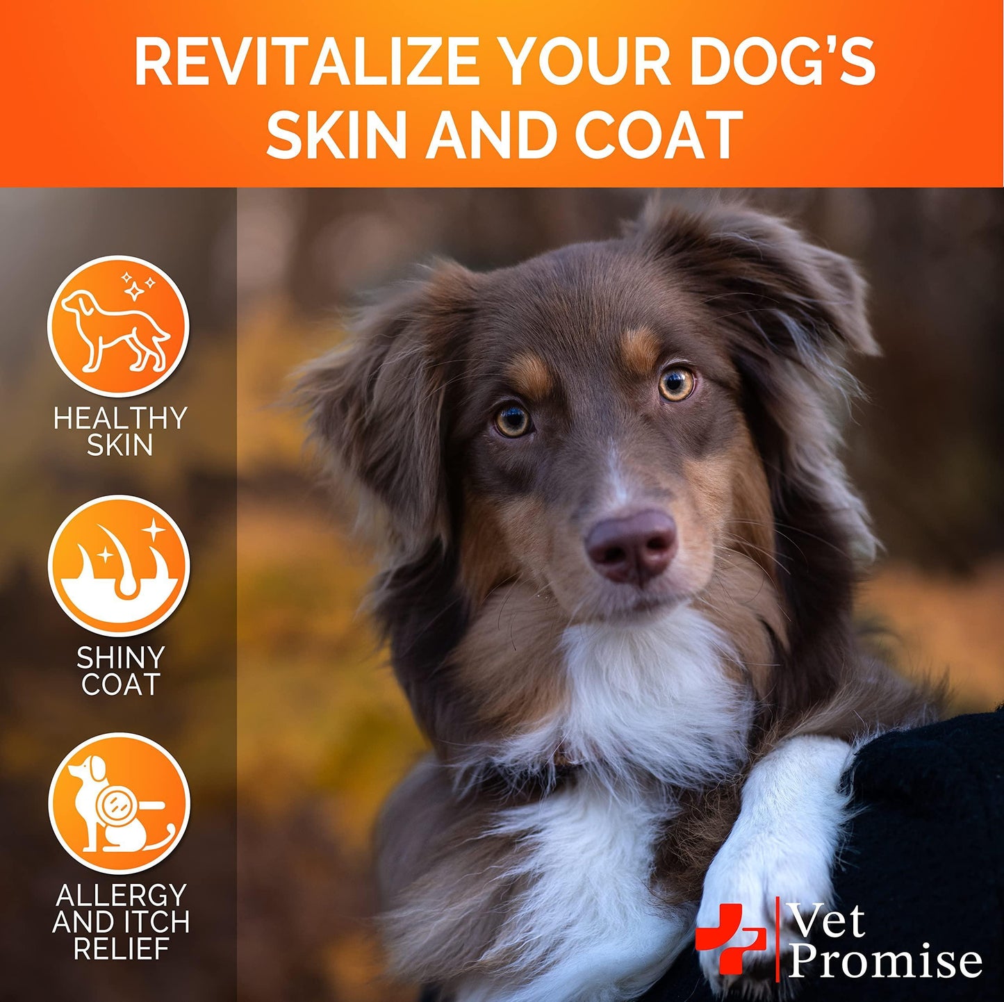 Omega 3 for Dogs Dog Skin and Coat Supplement Fish Oil for Dogs