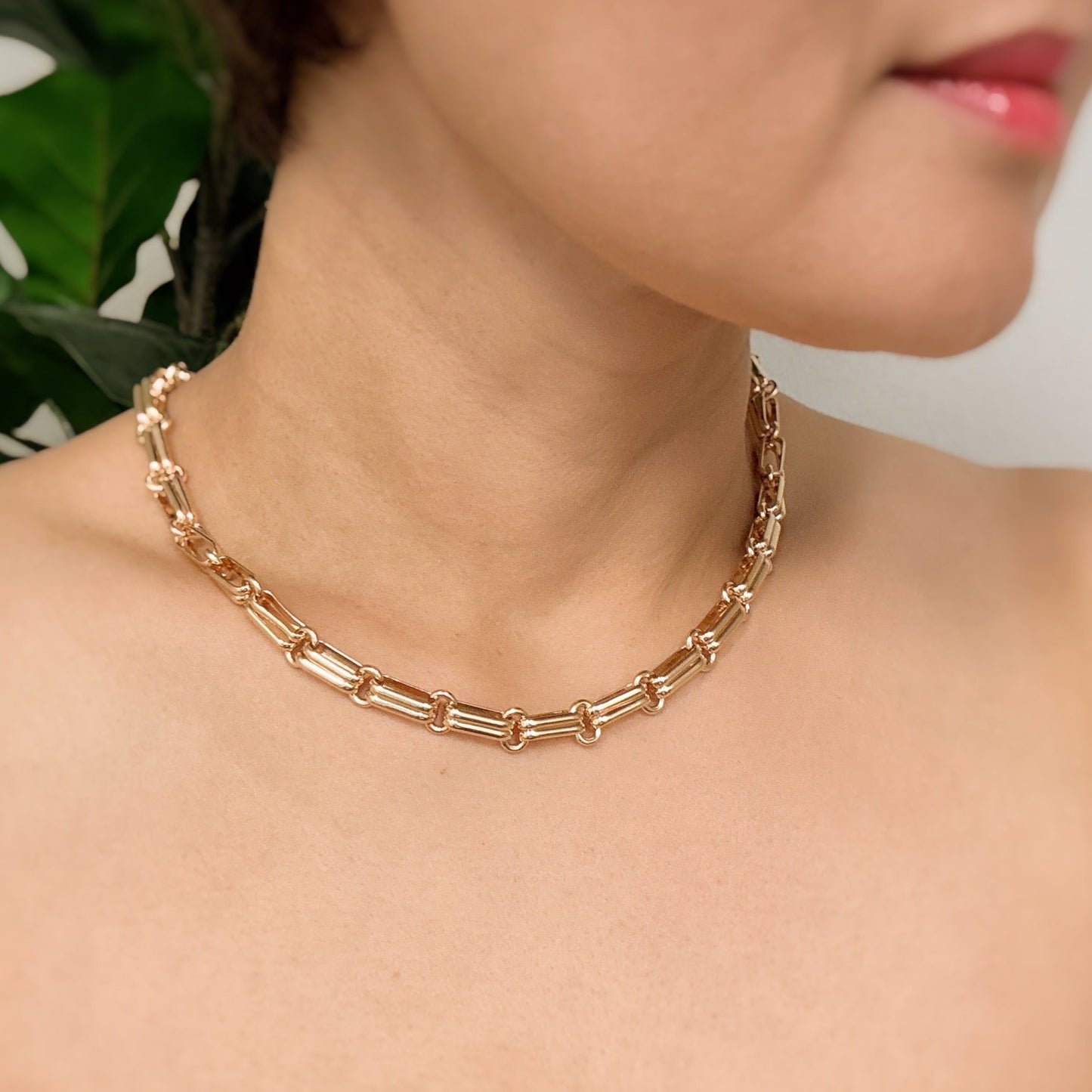 Double Links Linked Chain Necklace