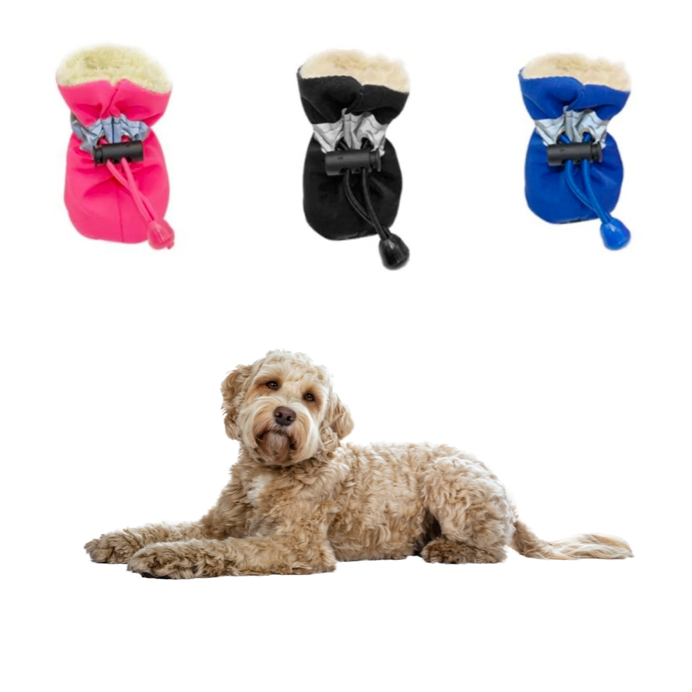 Dog lying down with three pairs of shoes in pink, black, and blue above, showcasing Dogs Winter Warm Shoes Set.