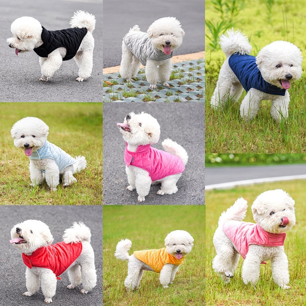 Various dogs wearing colorful Dogs Winter Warm Vests in outdoor settings, showcasing different styles and colors of the vest